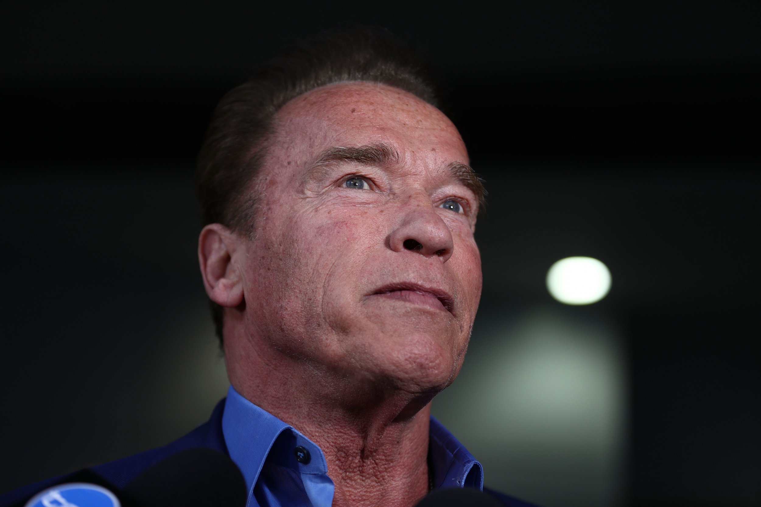 Arnold Schwarzenegger Chases Pony