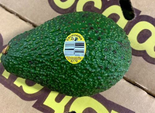 Henry Avocados Recall Henry Avocados Recall