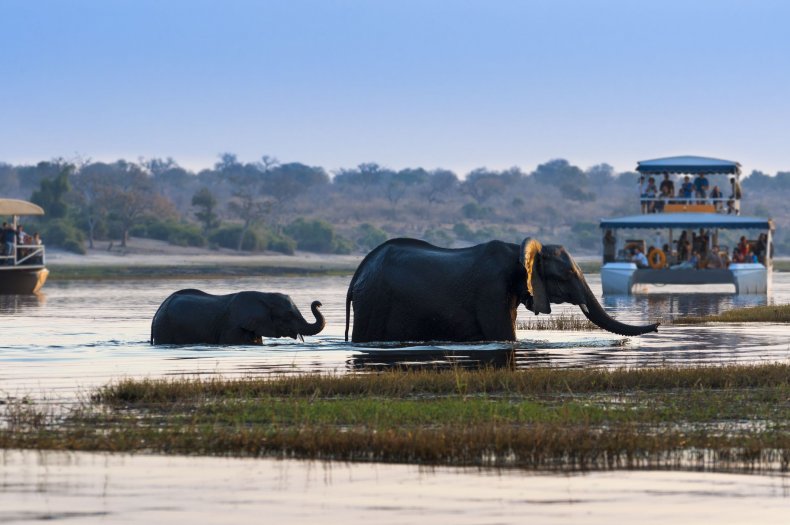 Zambezi Queen River Cruise- Chobe River, Botswana and Namibia