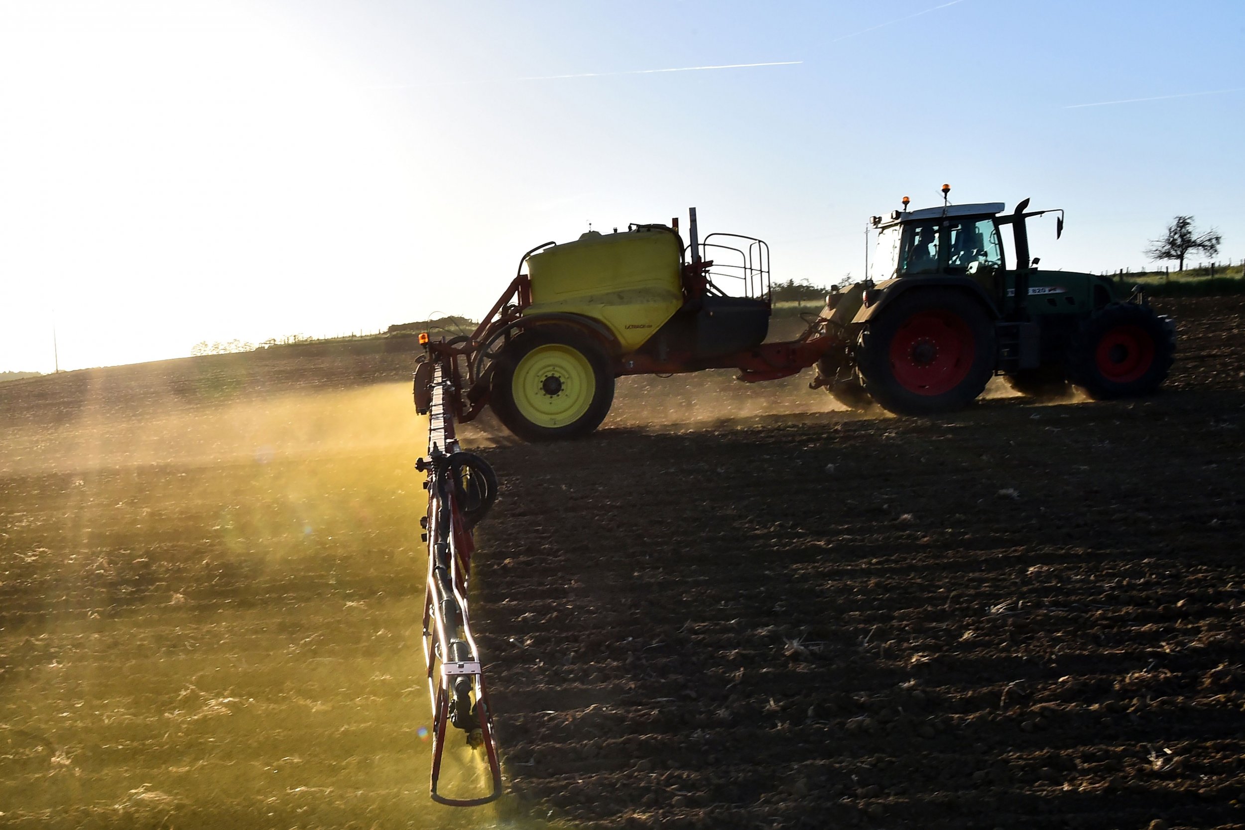 glyphosate herbicide sprayed on a agricultural field 