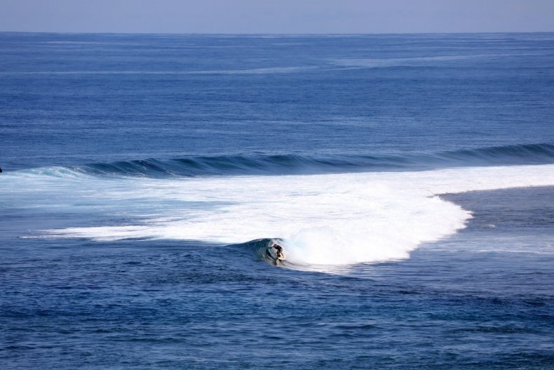 Surfer