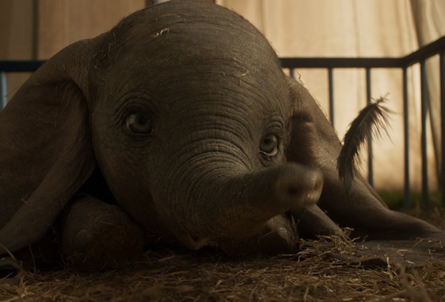 What Critics Are Saying About 'Dumbo'