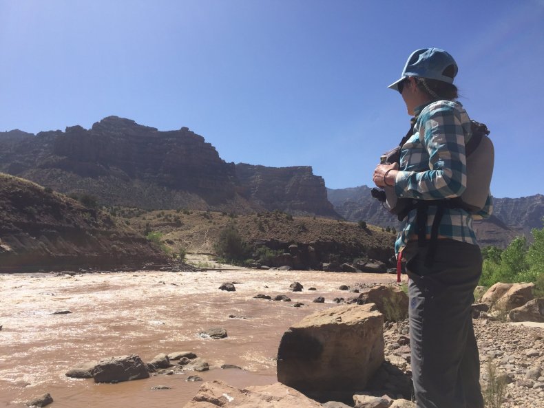 Downriver: Risk, Fear and the Future of Water in the West Cover