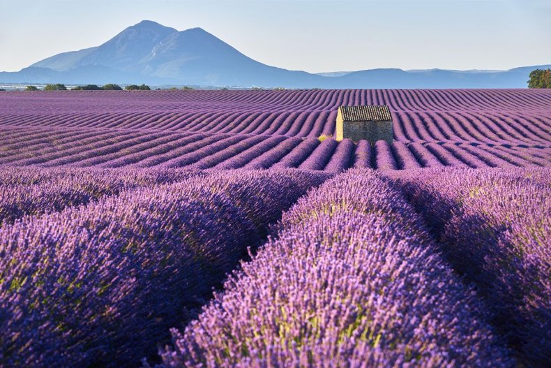 07 Valensole