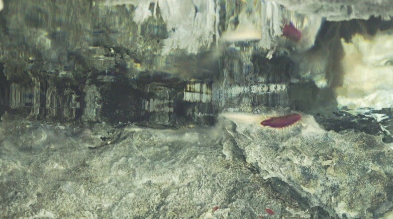 mirror, hydrothermal fluid mirror, hydrothermal fluid