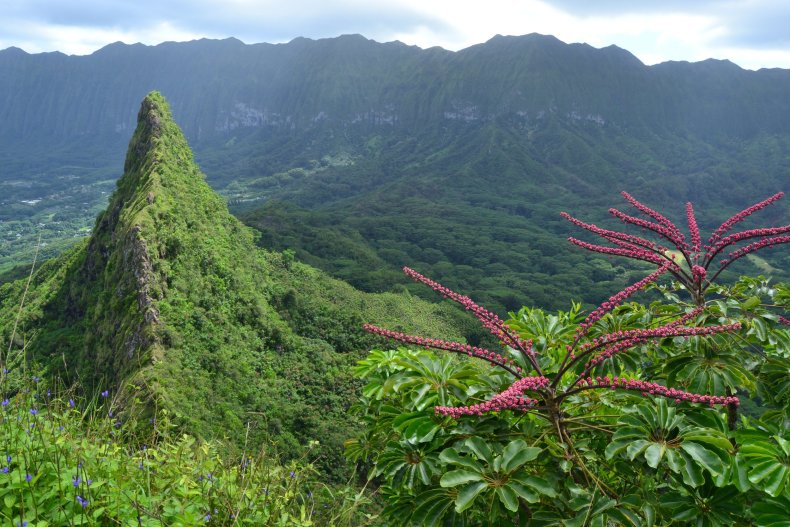 Oahu