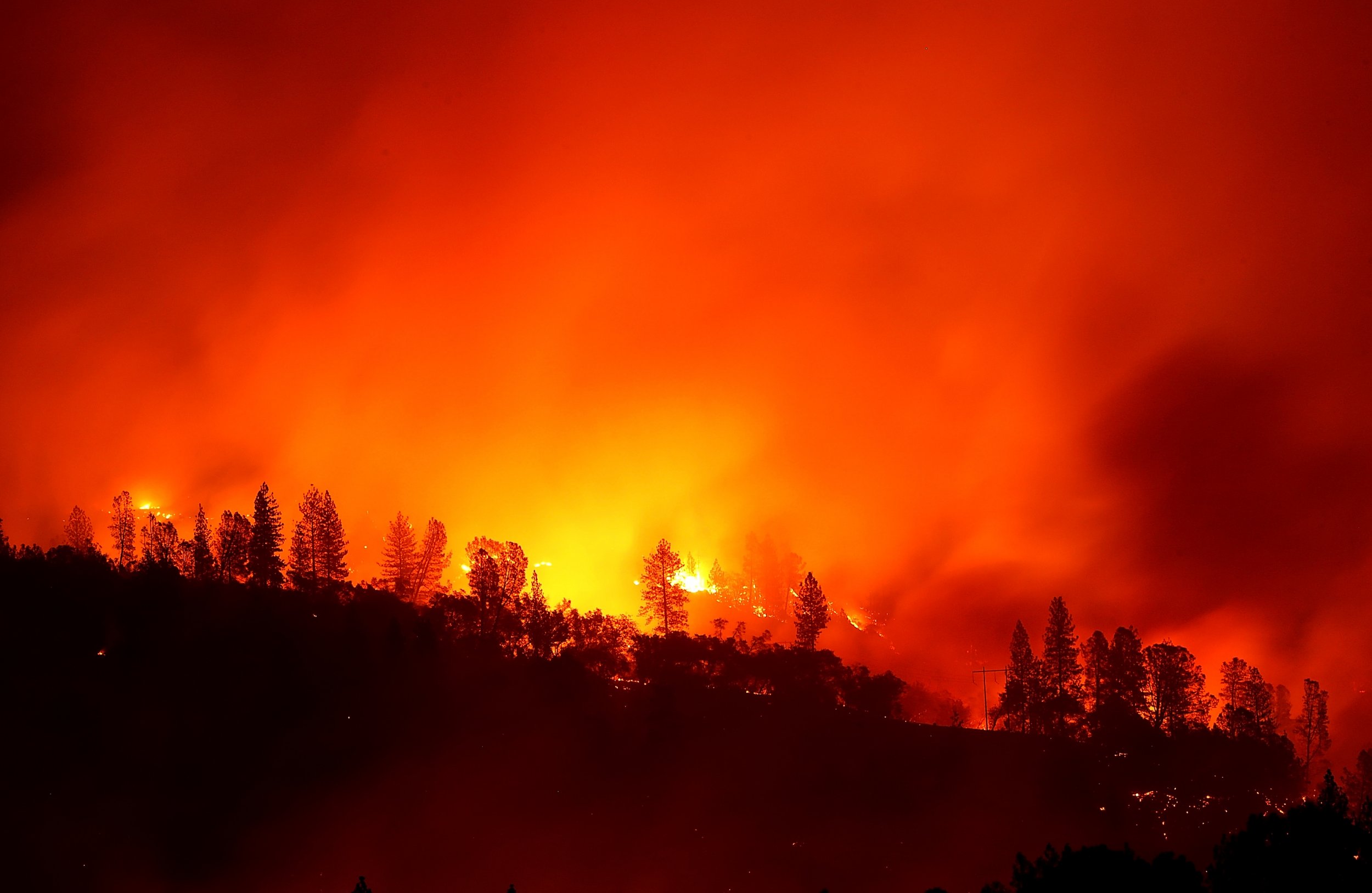 camp fire burning at night 