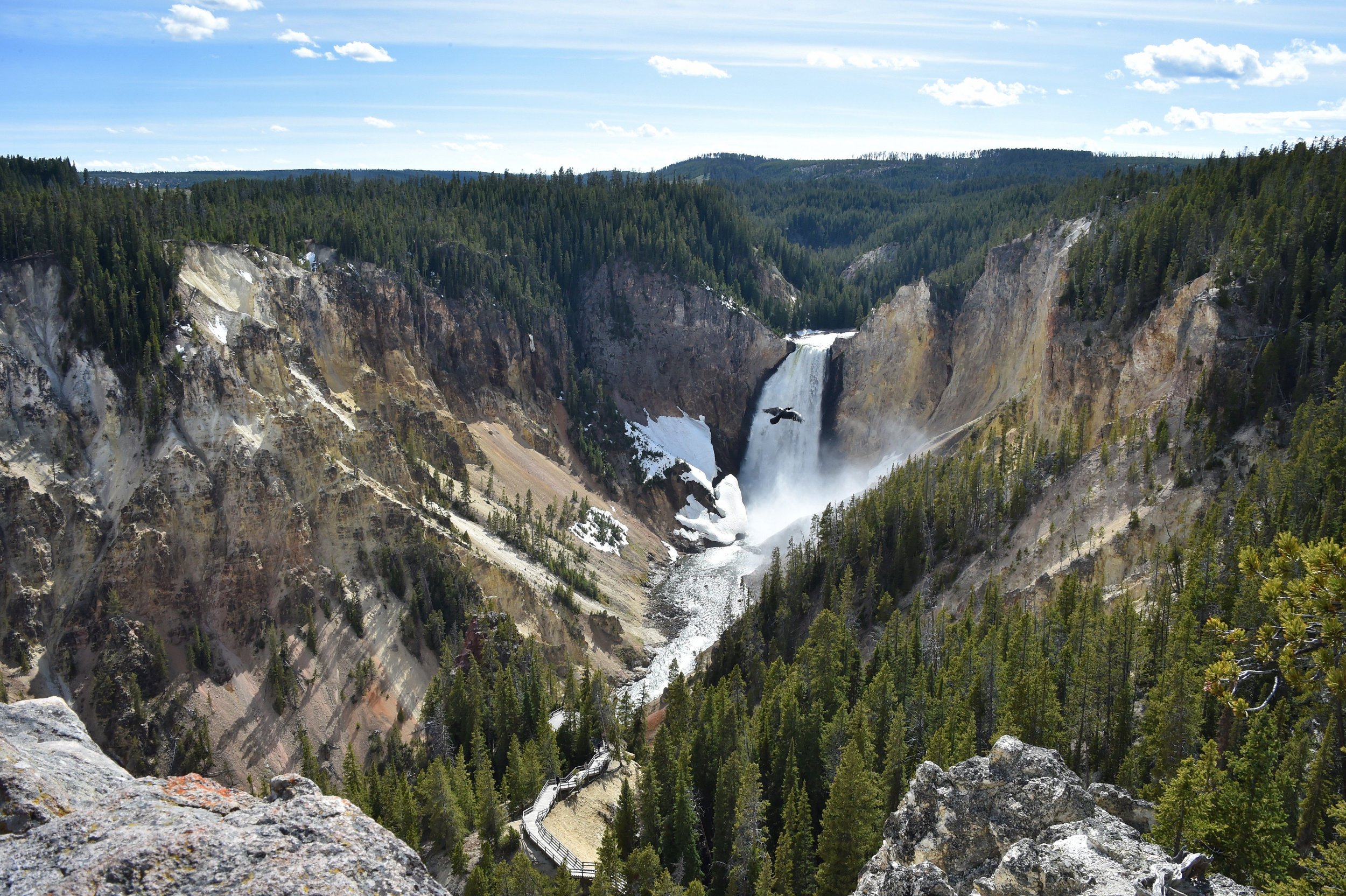 yellowstone national park grand canyon