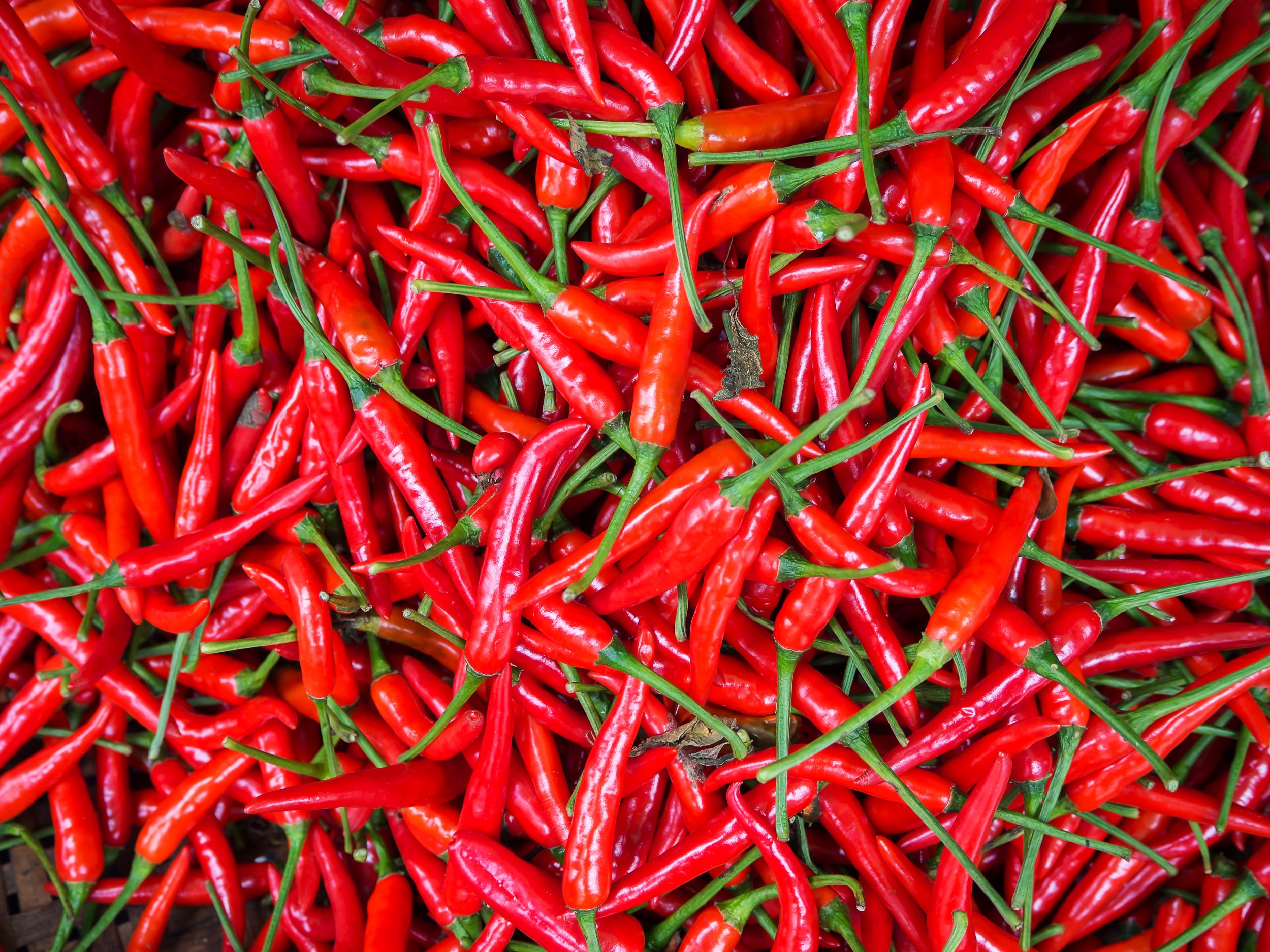 chili pepper stock getty 