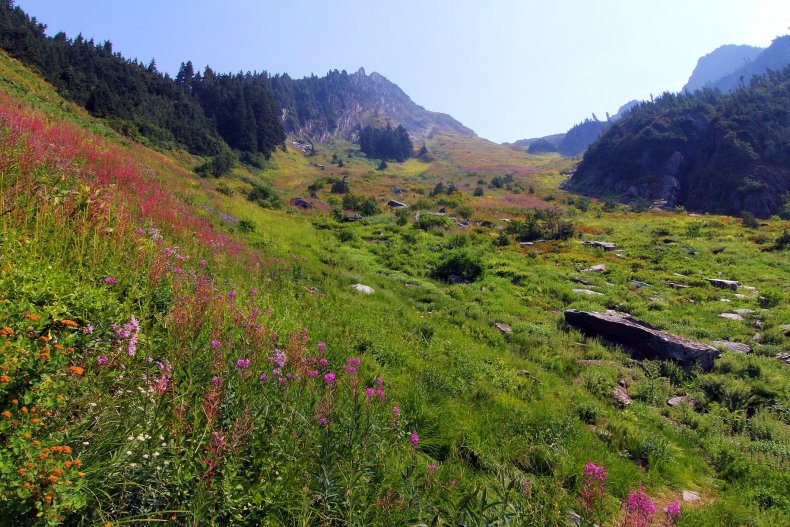 CASCADES NATIONAL PARK