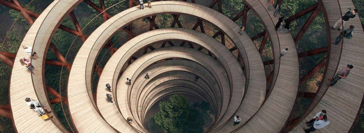 Adventure park forest tower Camp Adventure