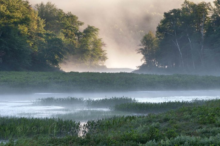 The Trails of the Adirondacks COVER