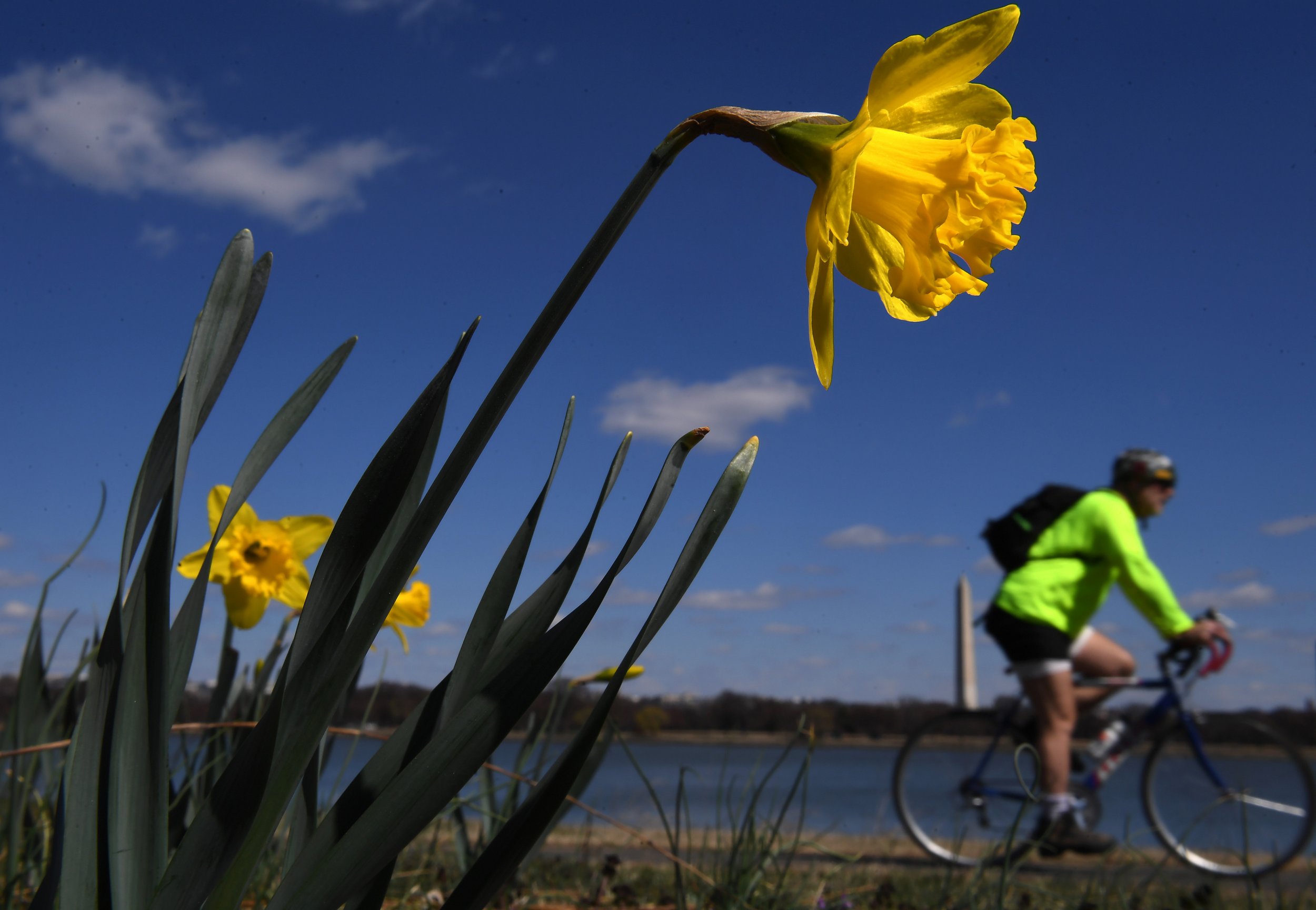 Spring Can Impact Way More Than Allergies Like Sleep Mood And Chronic Pain A Doctor Says