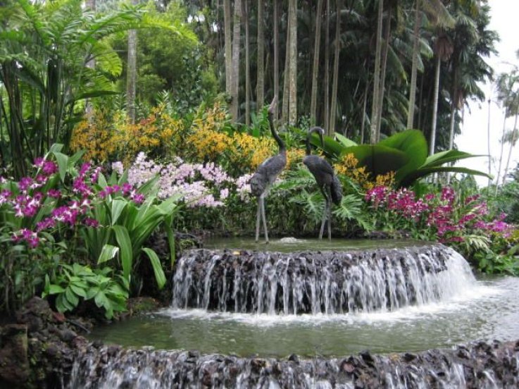 Singapore Botanic Garden Singapore Botanic Garden