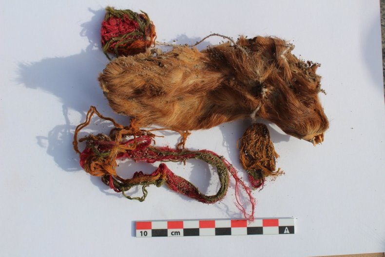 inca guinea pigs 2