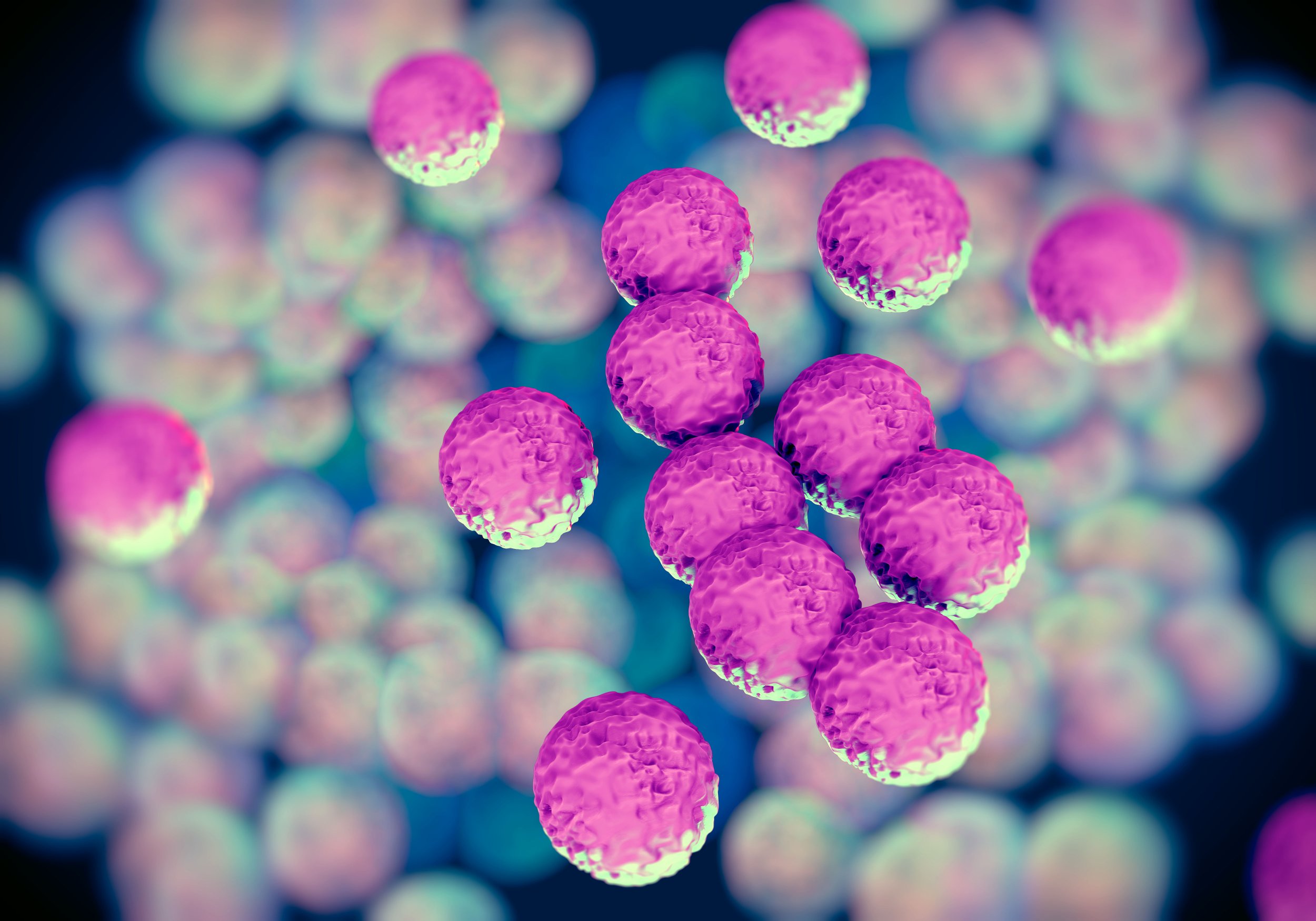 MRSA bacteria getty stock