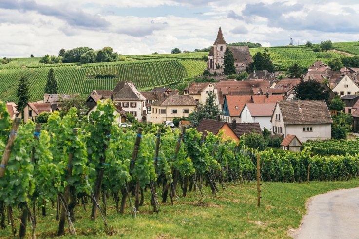 Burgundy - French Wine Regions Burgundy - French Wine Regions