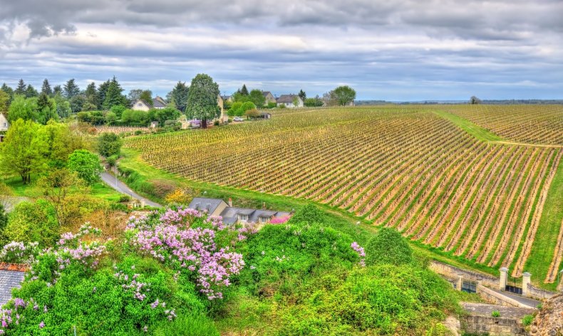 Loire Valley - French Wine Regions