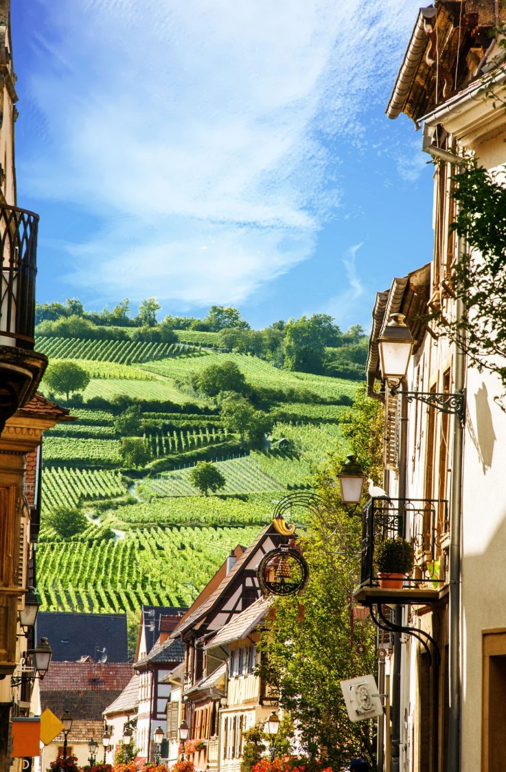 Alsace - French Wine Regions Alsace - French Wine Regions