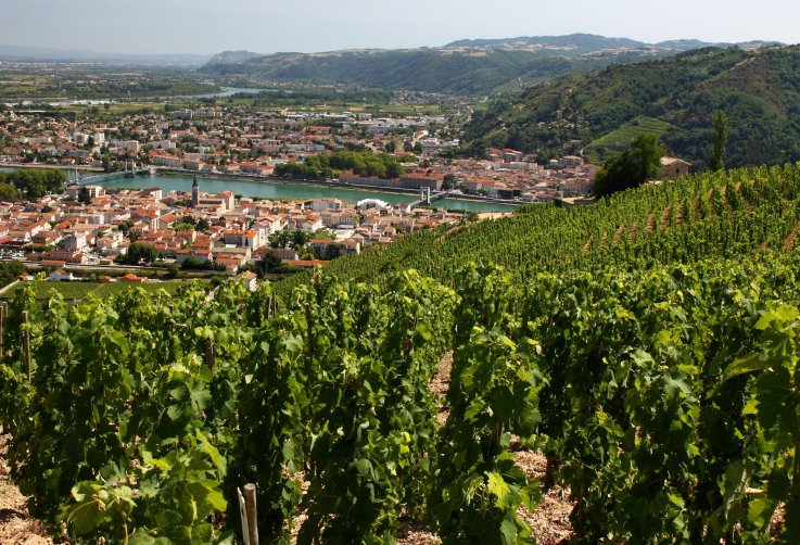 Rhône Valley - French Wine Regions Rhône Valley - French Wine Regions