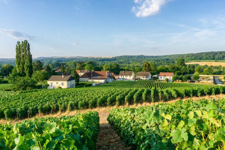 Champagne - French Wine Regions