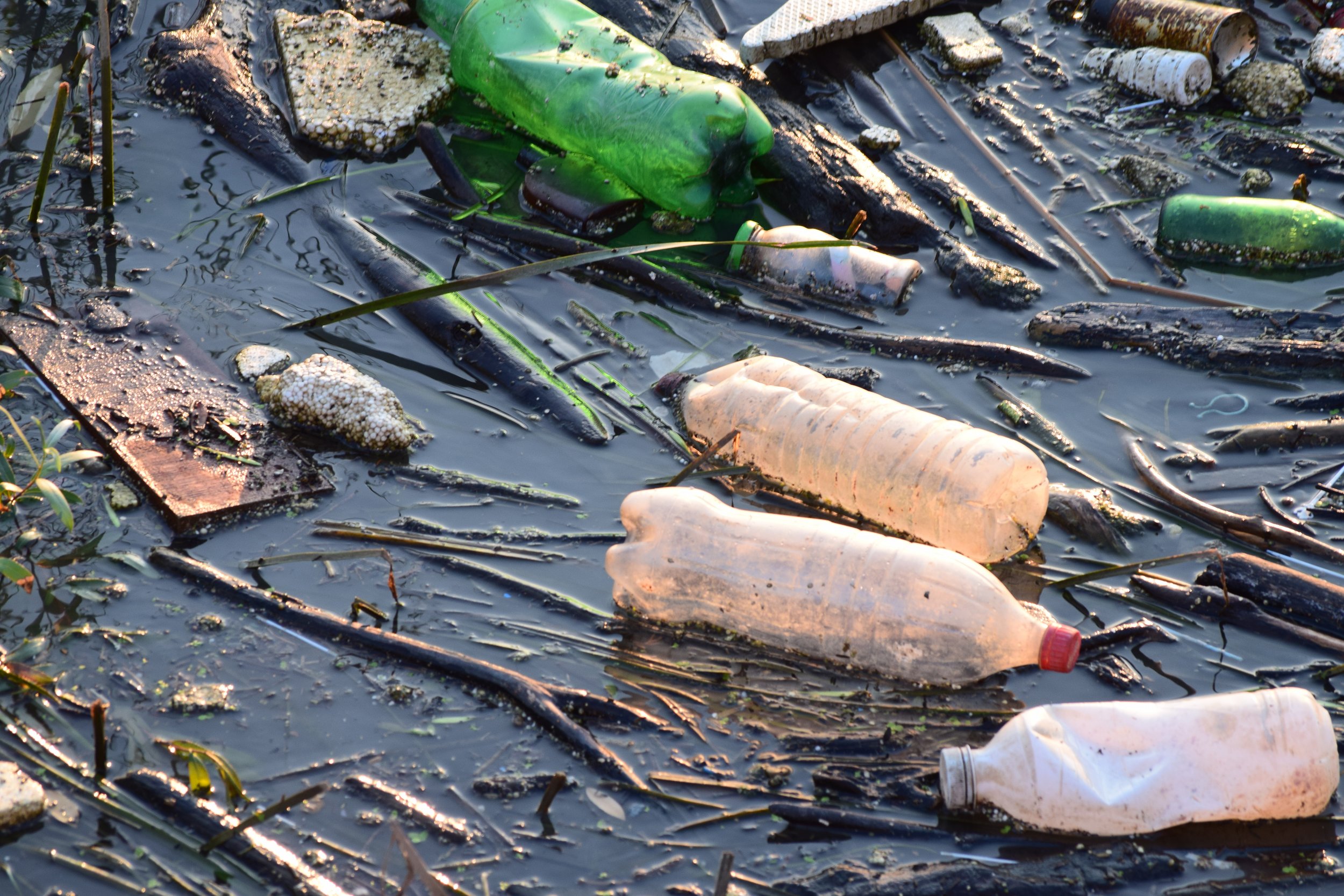 plastic pollution environment stock getty 