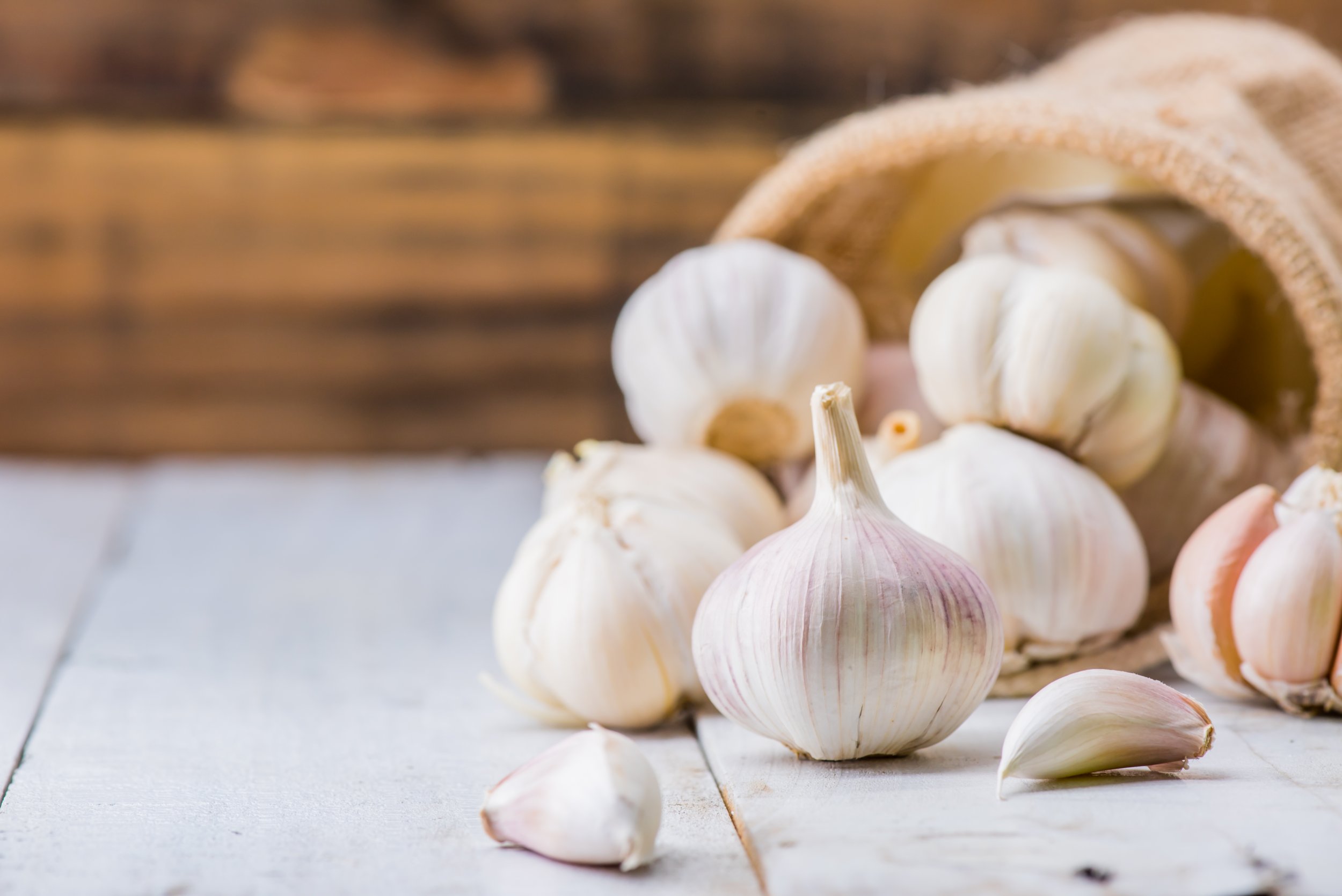 National Garlic Day Health and Nutrition Facts About the Plant Shunned