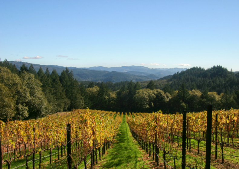 American-Made Sparkling Wine as Rich in History as It Is in Taste—Meet Schramsberg Vineyards