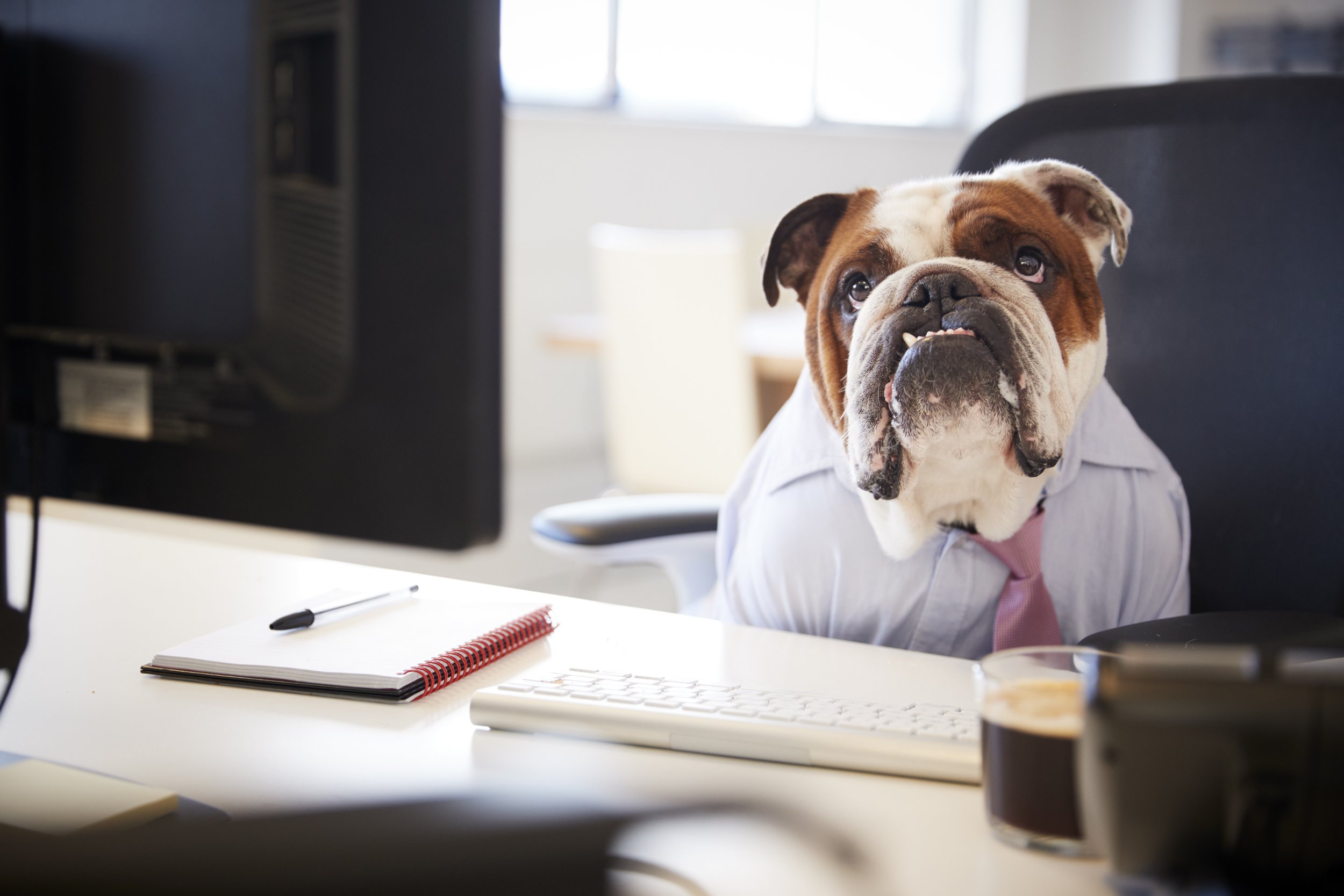 Dog at Work Getty