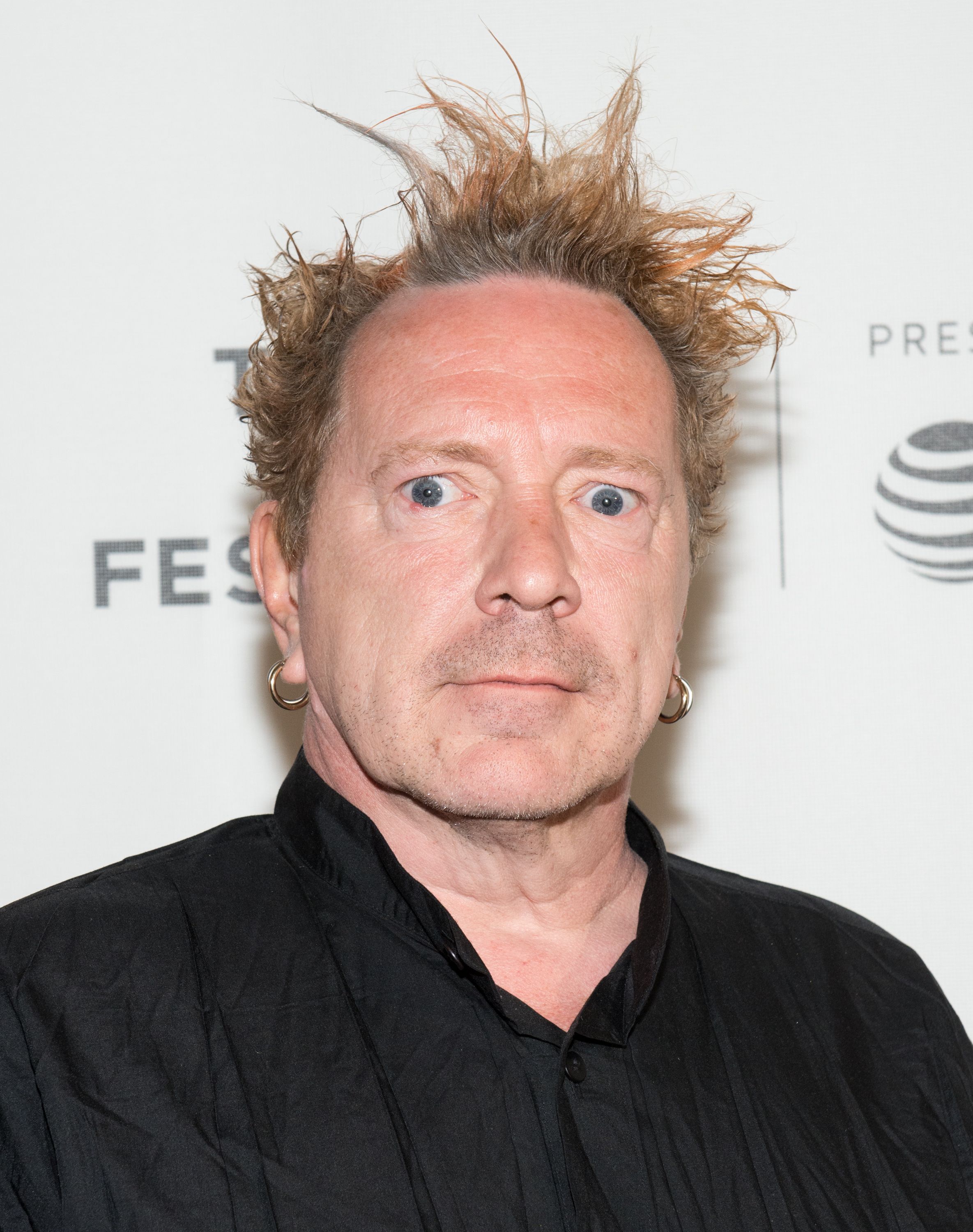 johnny rotten image