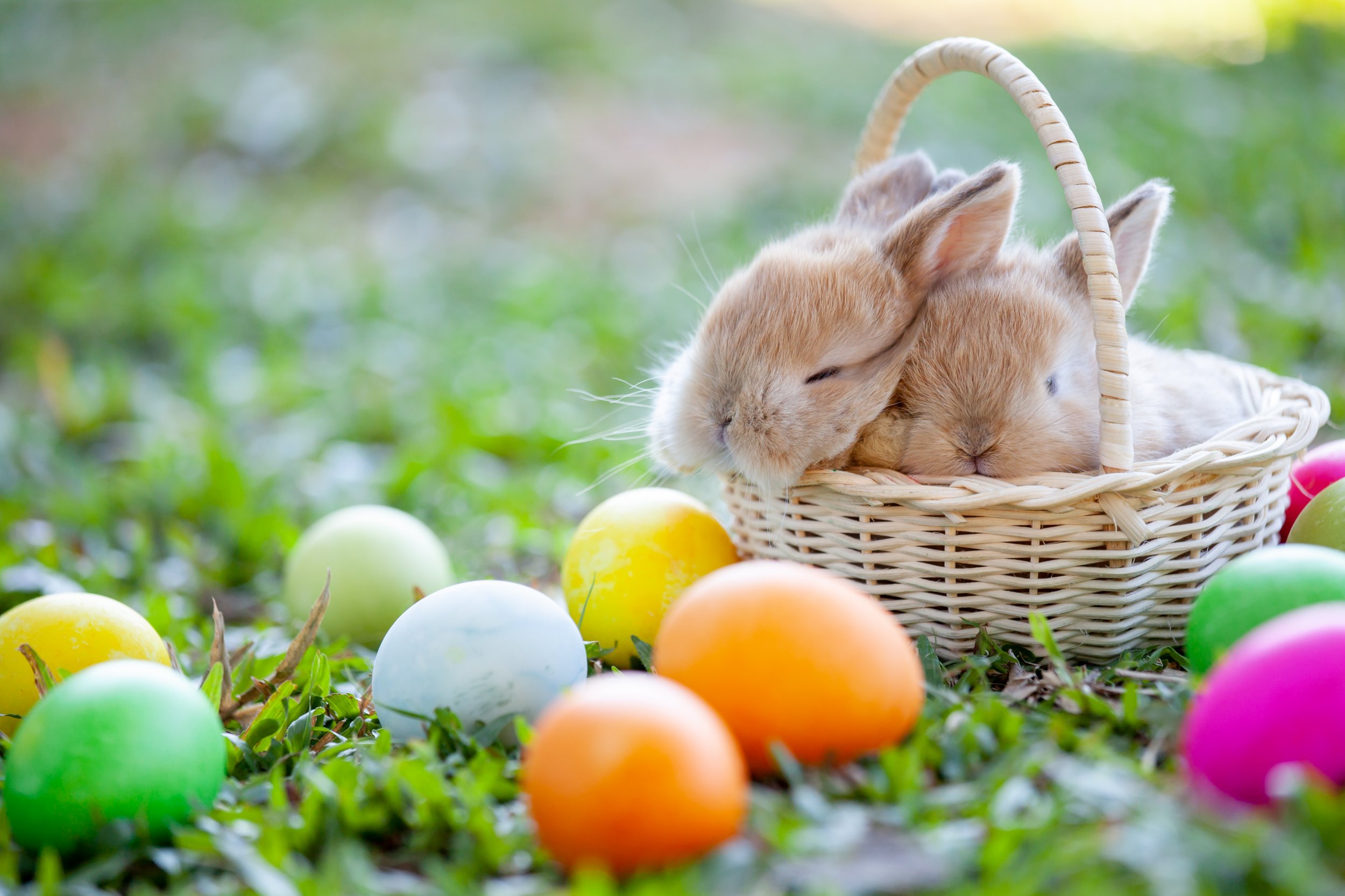 Which Stores Are Open on Easter Sunday 2019? Walmart, Home Depot, Sears