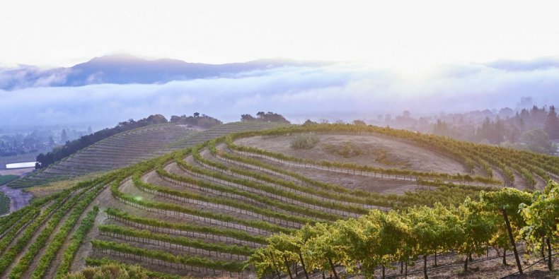 Chandon-Hills-Tastings