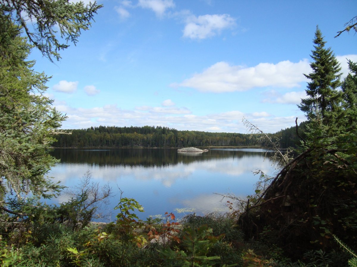 Experience the quiet beauty of Voyageurs National Park