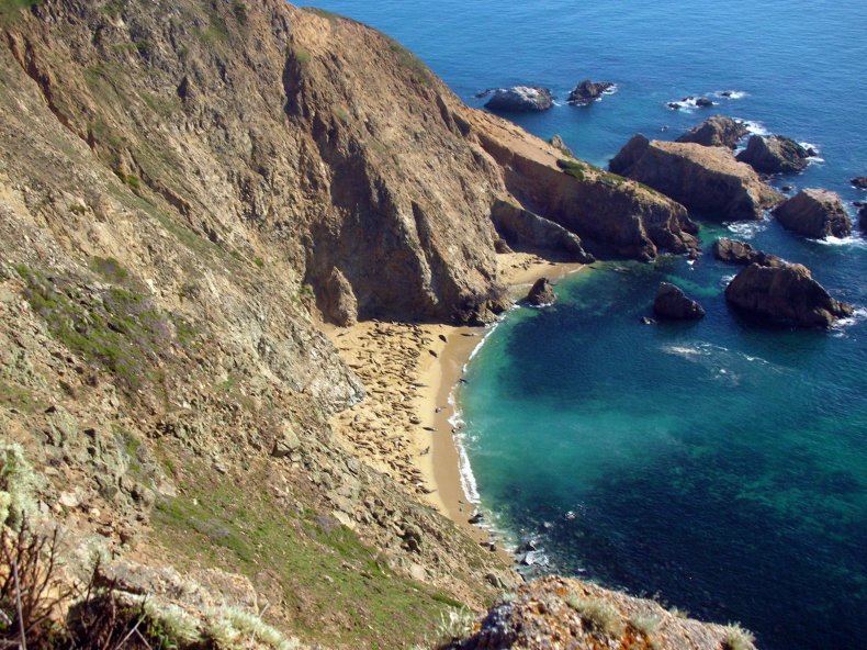 Point Reyes Headlands Colony