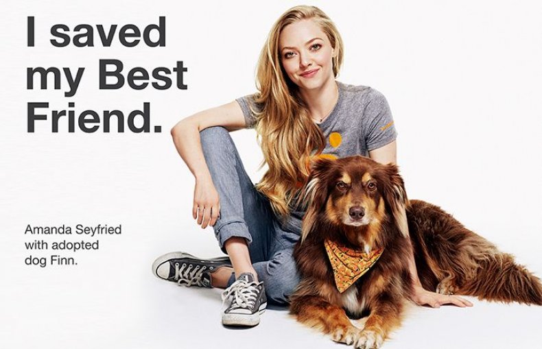 Amanda-Seyfried-media1_0