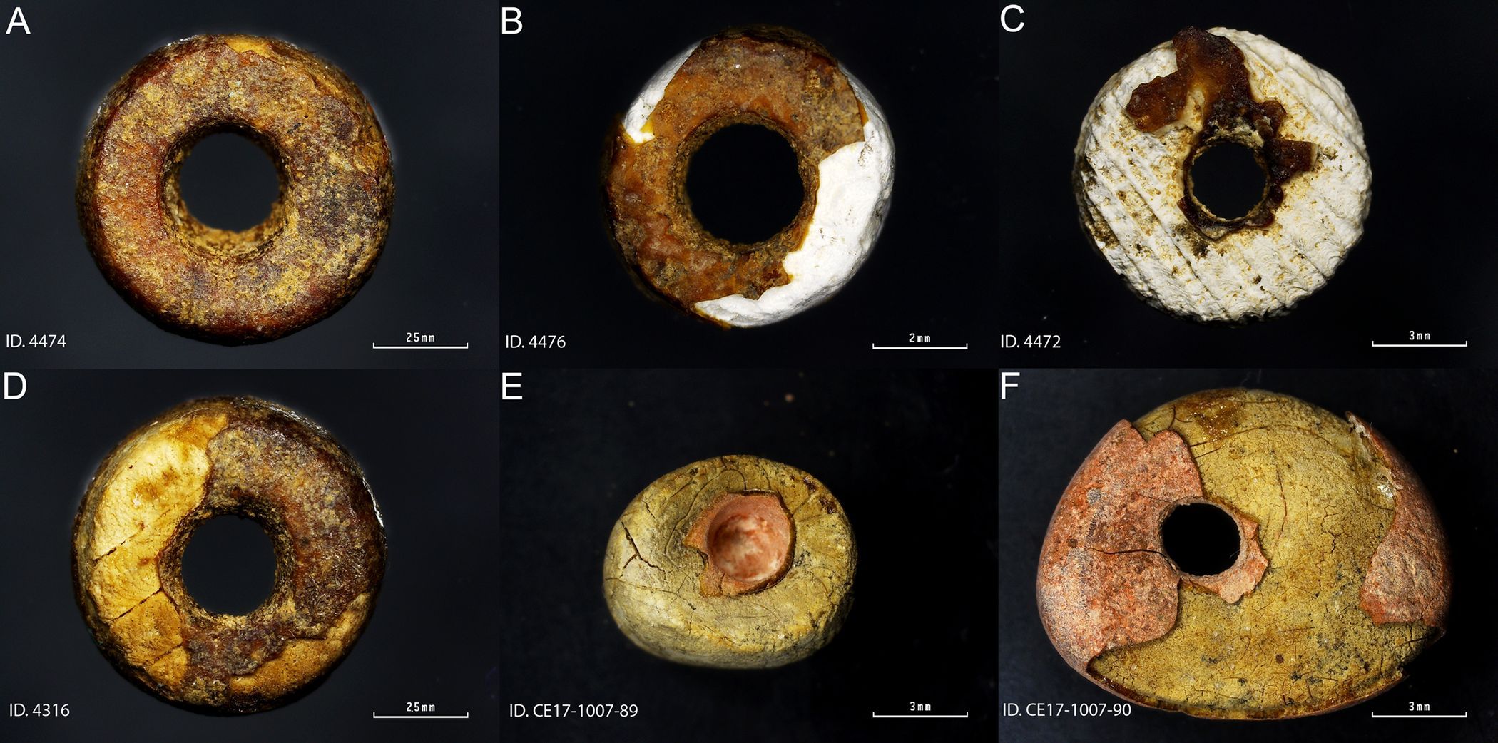 Baltic Amber: 5,000 Years of International Trade