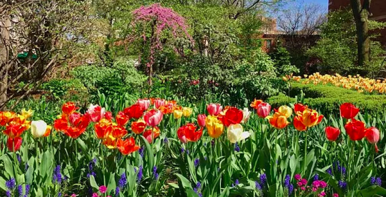Jefferson Market Garden Jefferson Market Garden