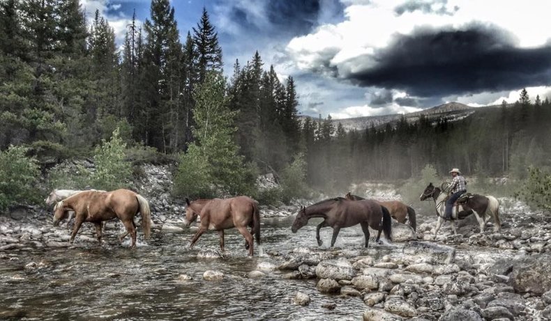 MILLS WILDERNESS ADVENTURES_White River