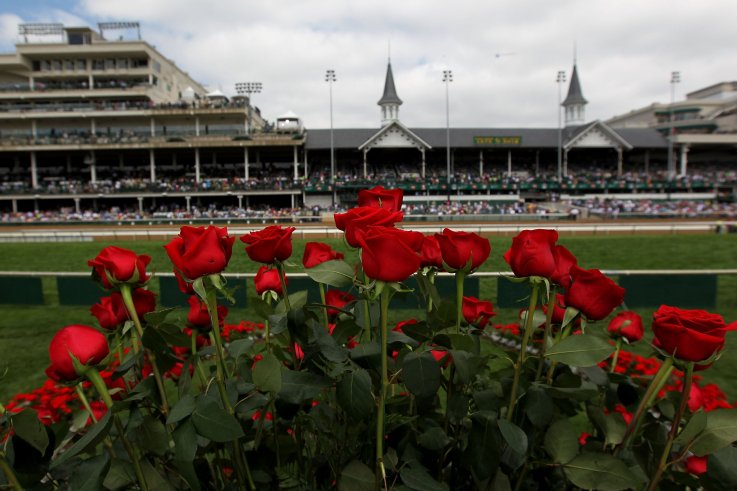official flower kentuck derby facts official flower kentuck derby facts