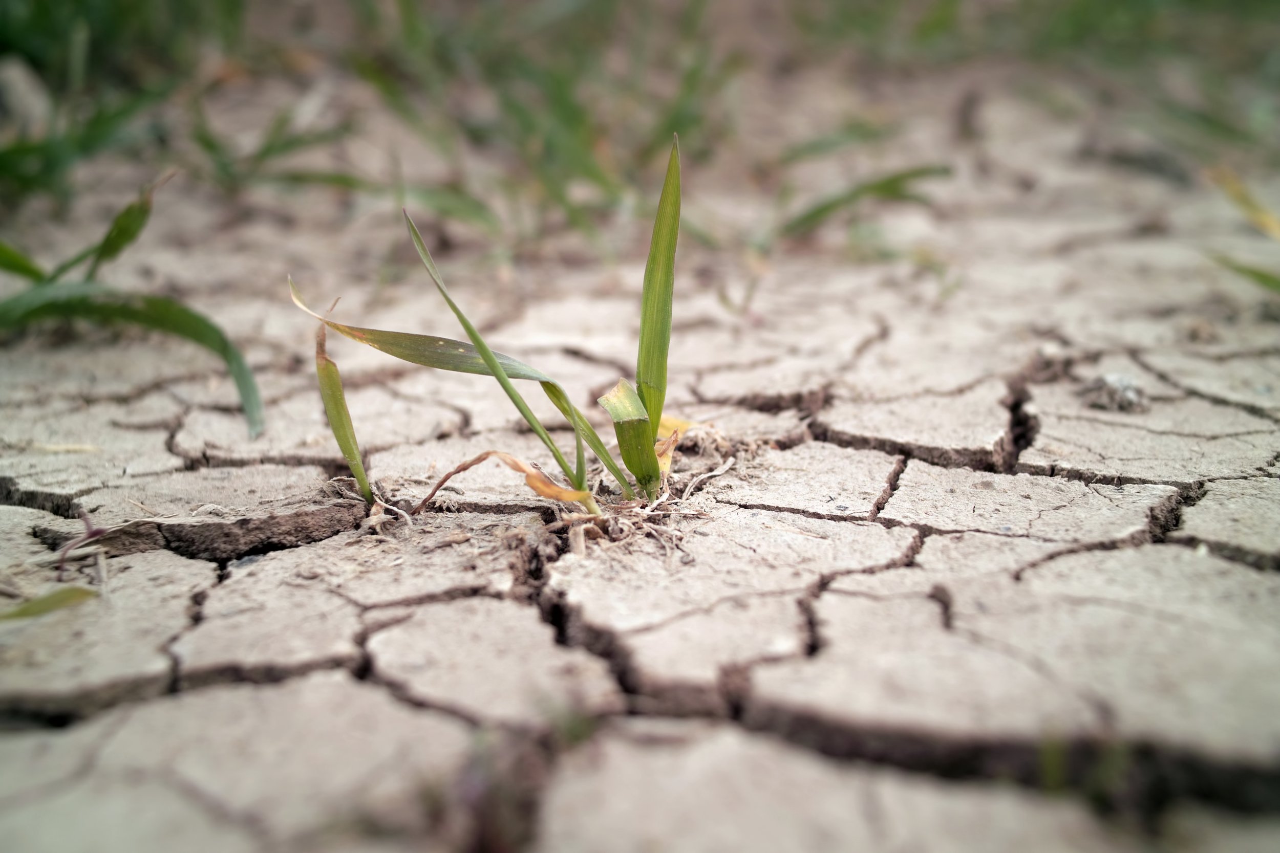 drought soil earth dry stock getty 