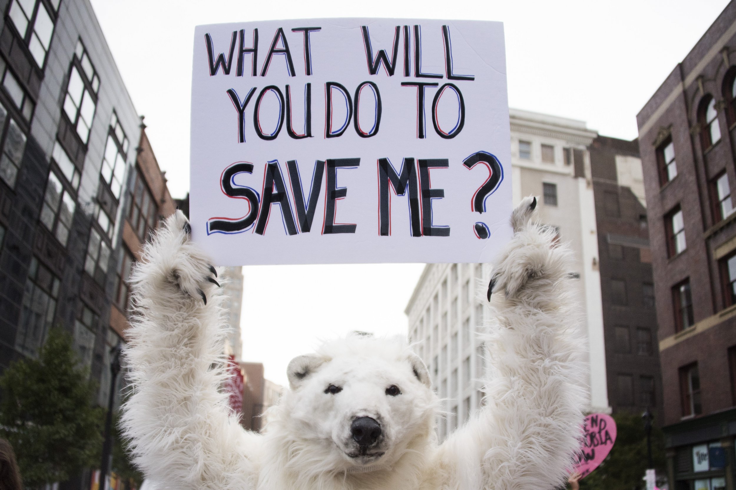 global warming climate change protest polar bear 
