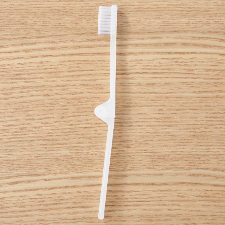 Moma Muji travel toothbrush and case