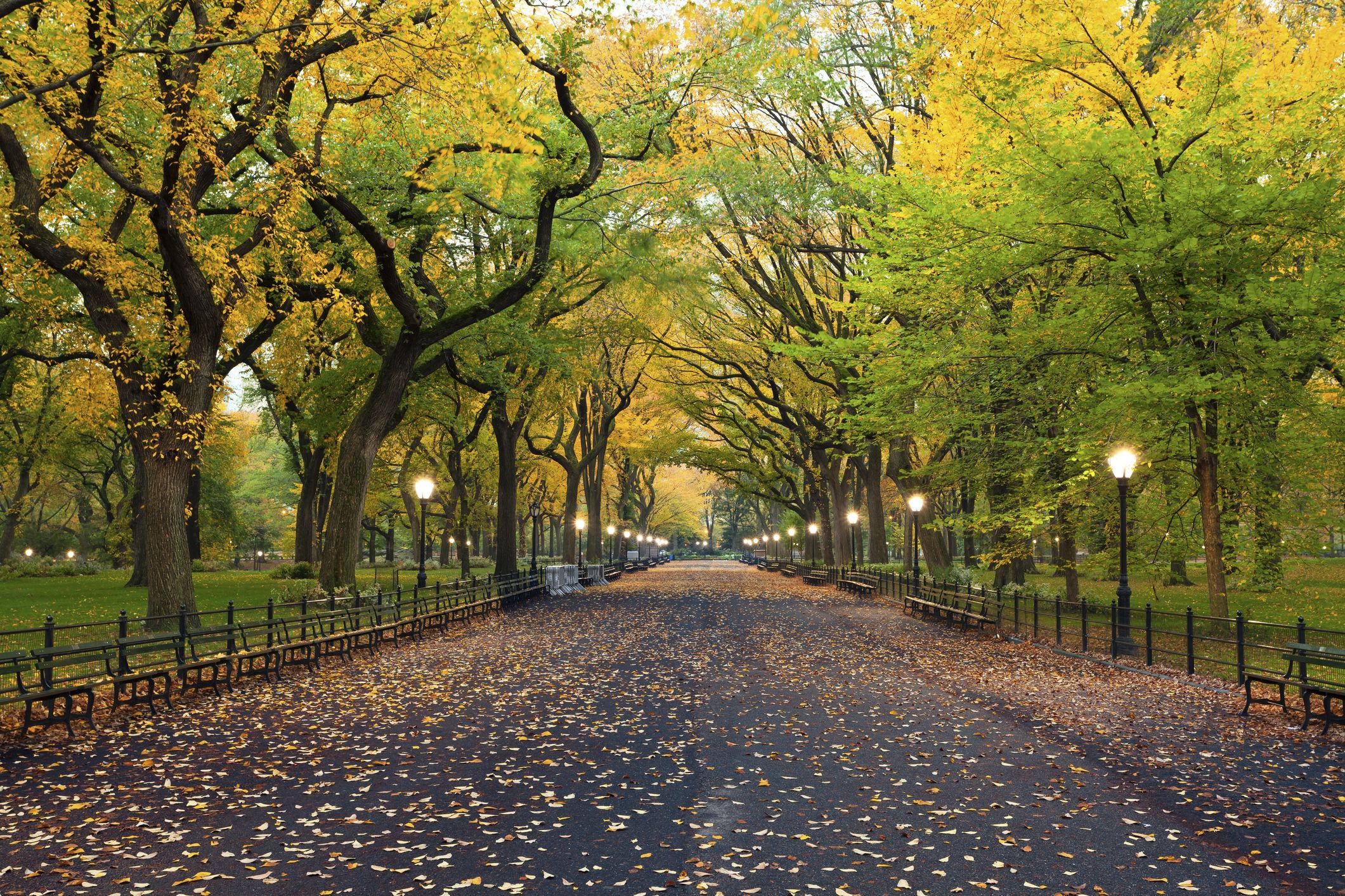 8 Great Things to Do in Central Park COVER