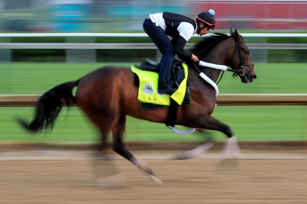 What Are The Latest Odds For The Kentucky Derby 2019? Churchill Downs