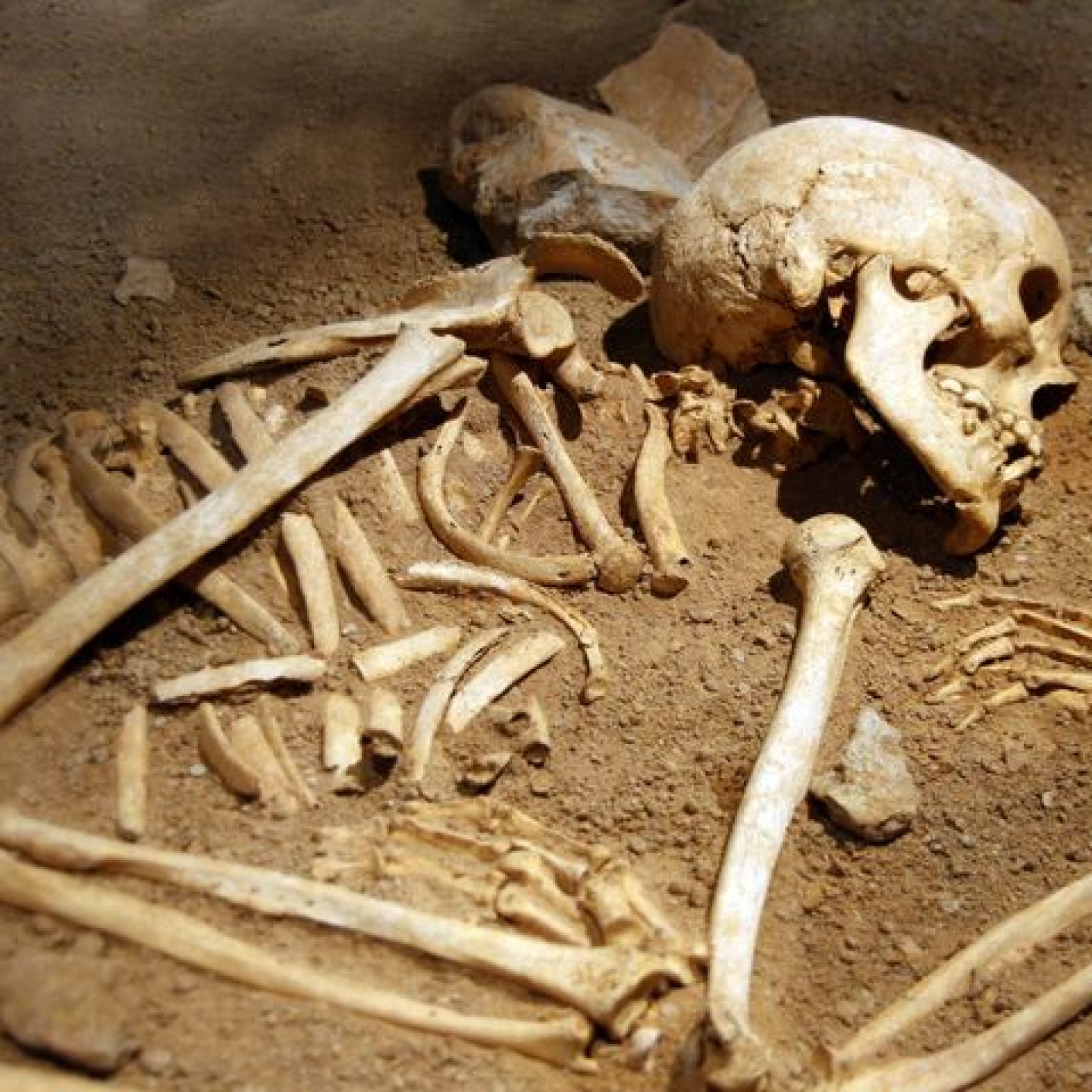 Our Ancient Cannibal Ancestors Saw Humans As An Easy Meal