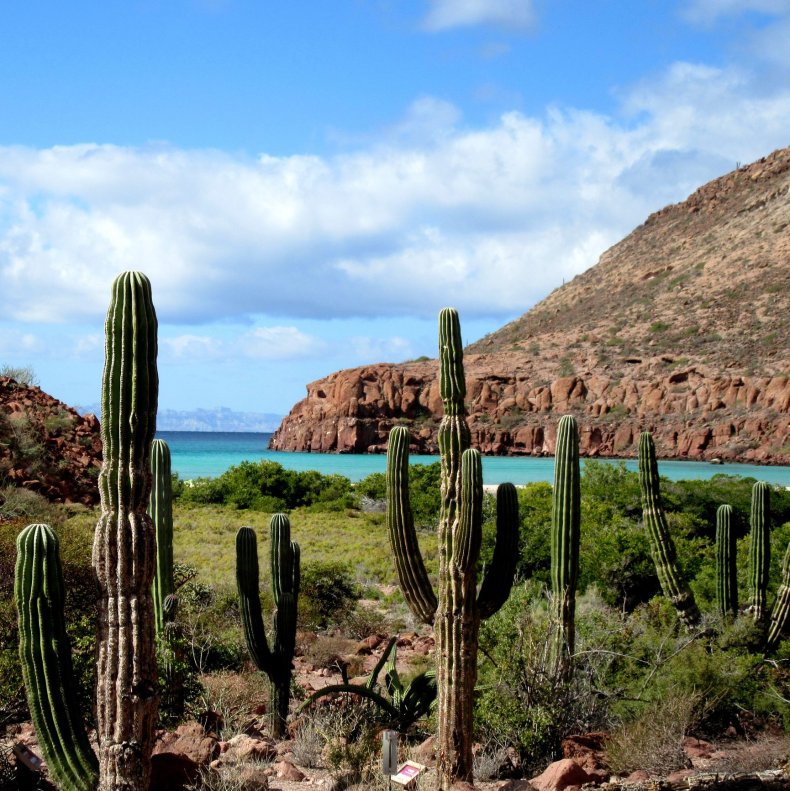 Baja