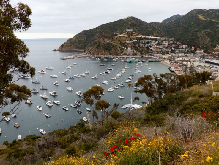 Avalon Harbor Catalina Island Avalon Harbor Catalina Island
