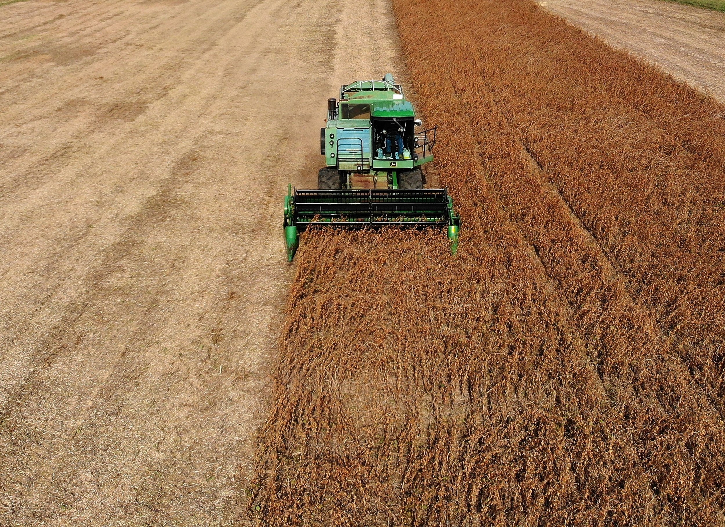 Farmers Are 'Losing Their Patience' With Donald Trump Over ...