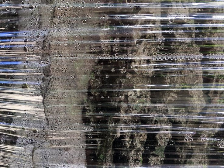 Water droplets, Cellophane Water droplets, Cellophane