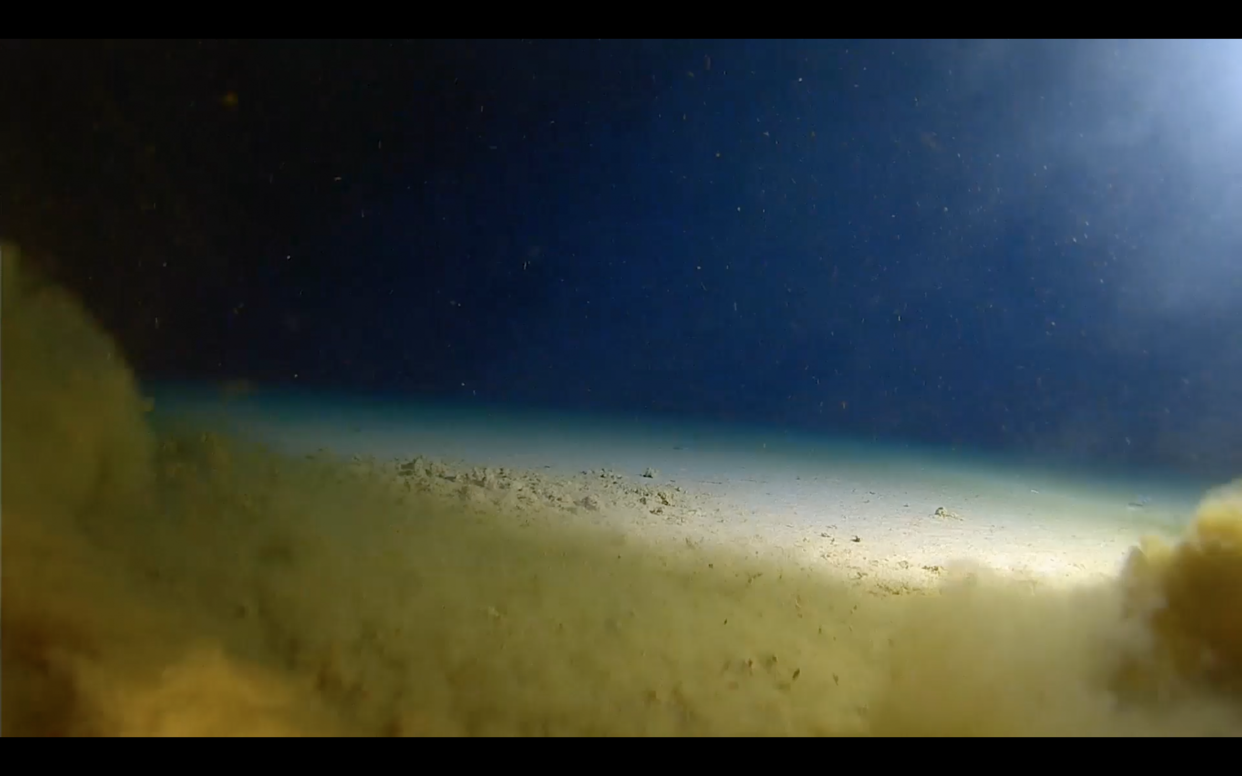 challenger deep mariana trench